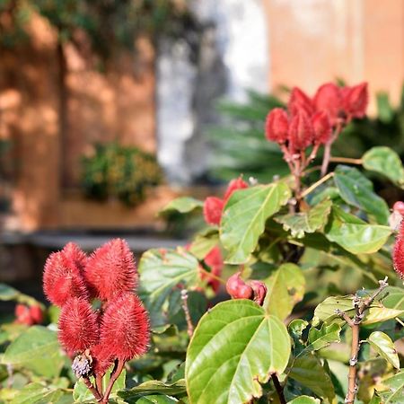 Quinta Cielo - Hotel Boutique Y Restaurante 马利纳尔科 外观 照片