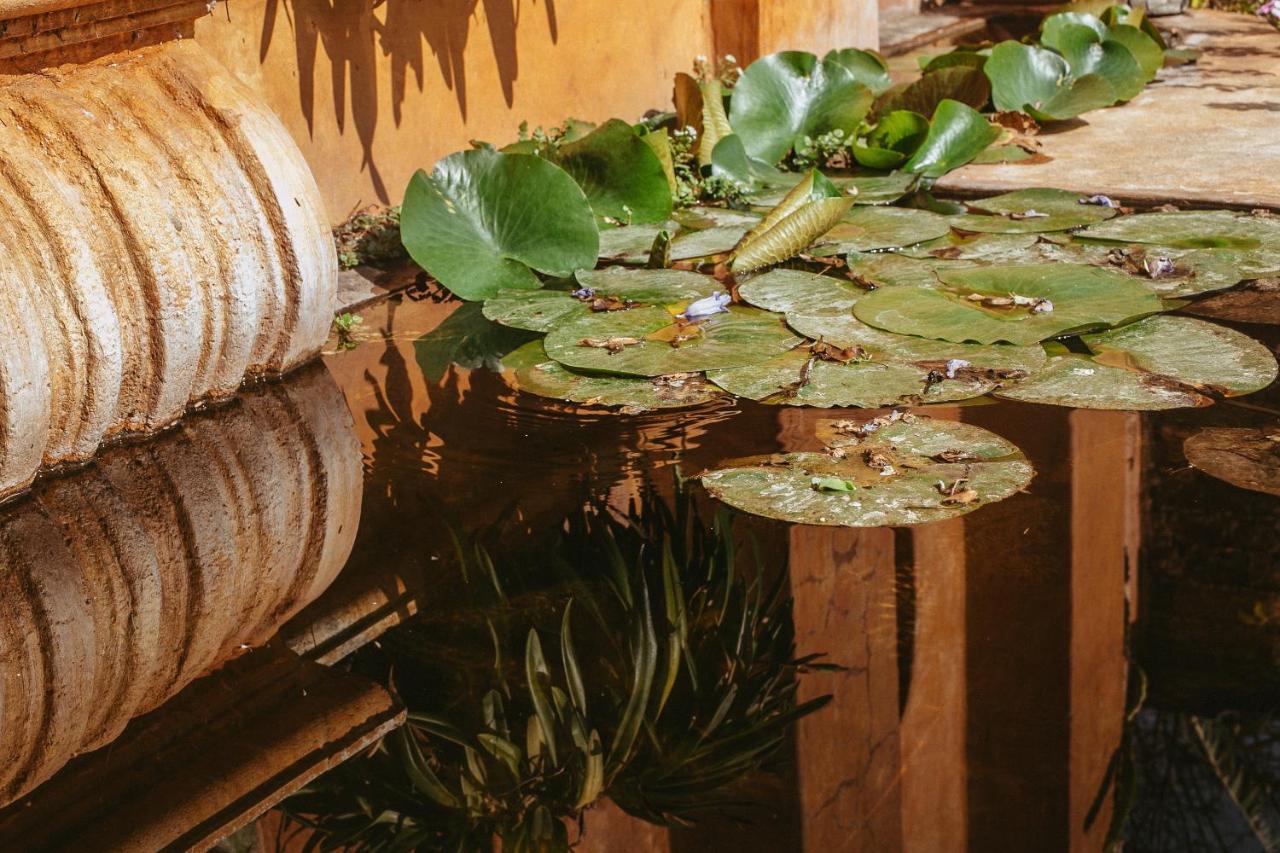 Quinta Cielo - Hotel Boutique Y Restaurante 马利纳尔科 外观 照片