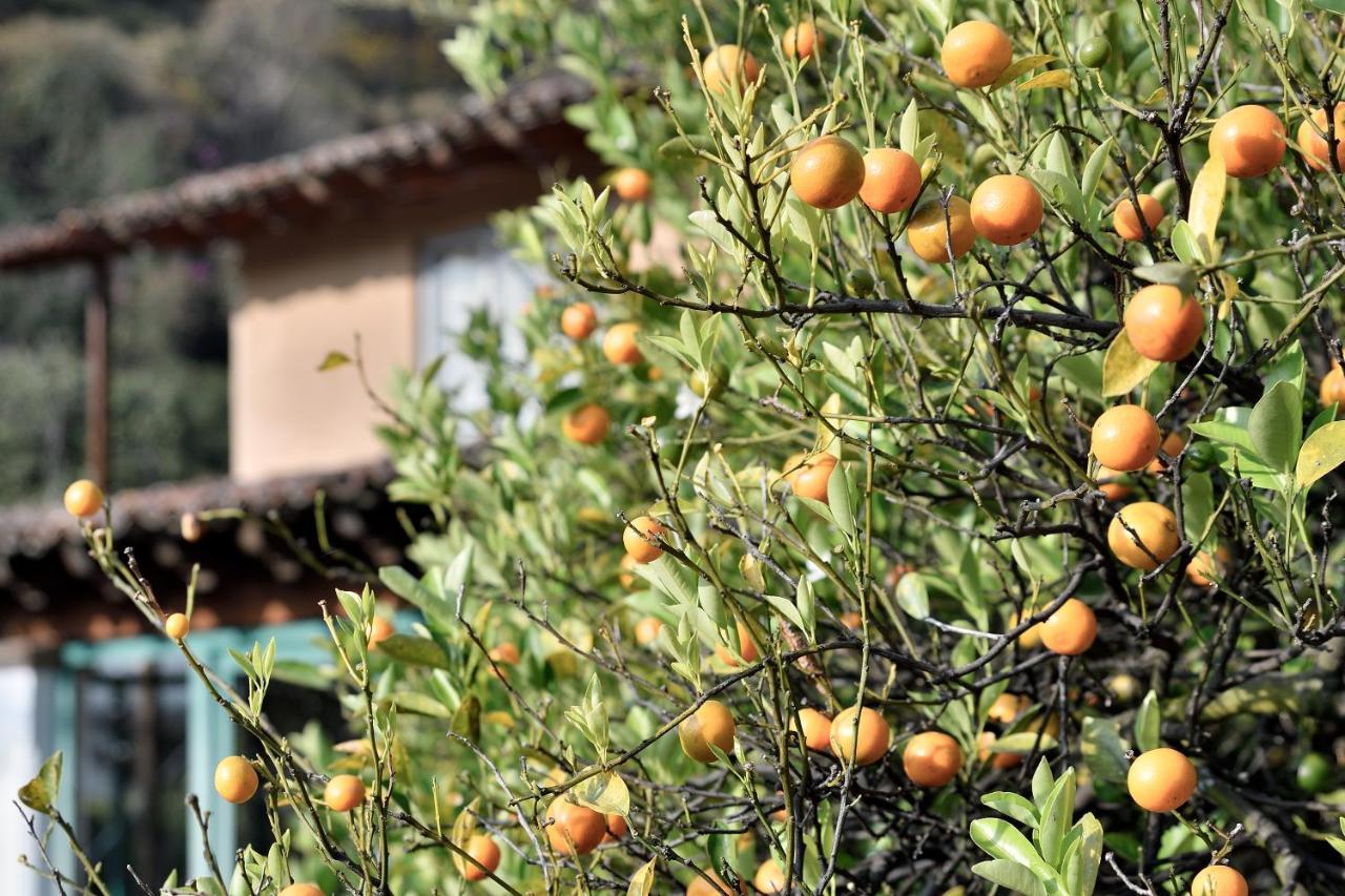 Quinta Cielo - Hotel Boutique Y Restaurante 马利纳尔科 外观 照片