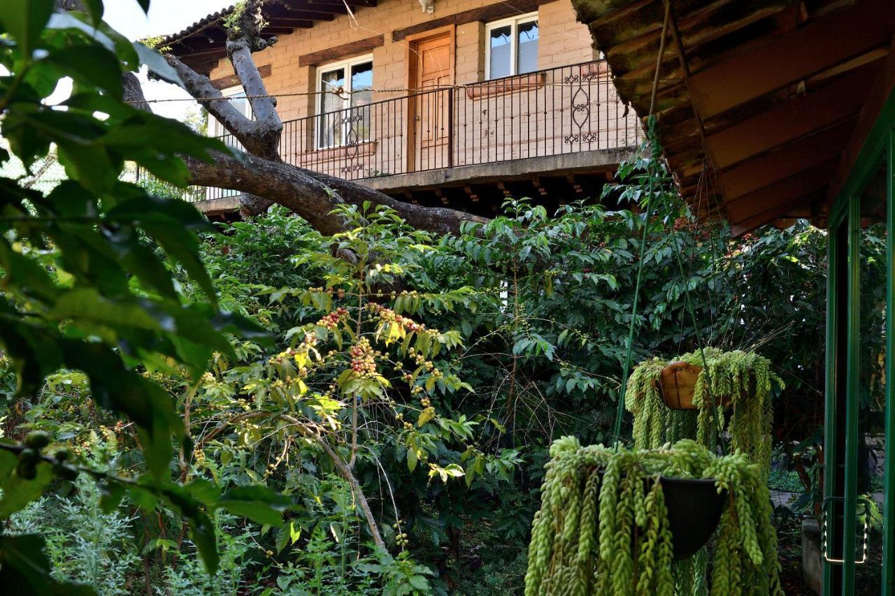Quinta Cielo - Hotel Boutique Y Restaurante 马利纳尔科 外观 照片