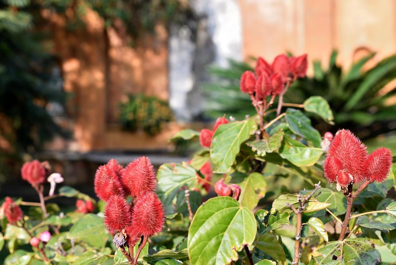 Quinta Cielo - Hotel Boutique Y Restaurante 马利纳尔科 外观 照片