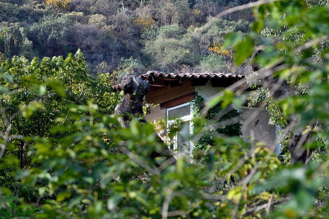 Quinta Cielo - Hotel Boutique Y Restaurante 马利纳尔科 外观 照片