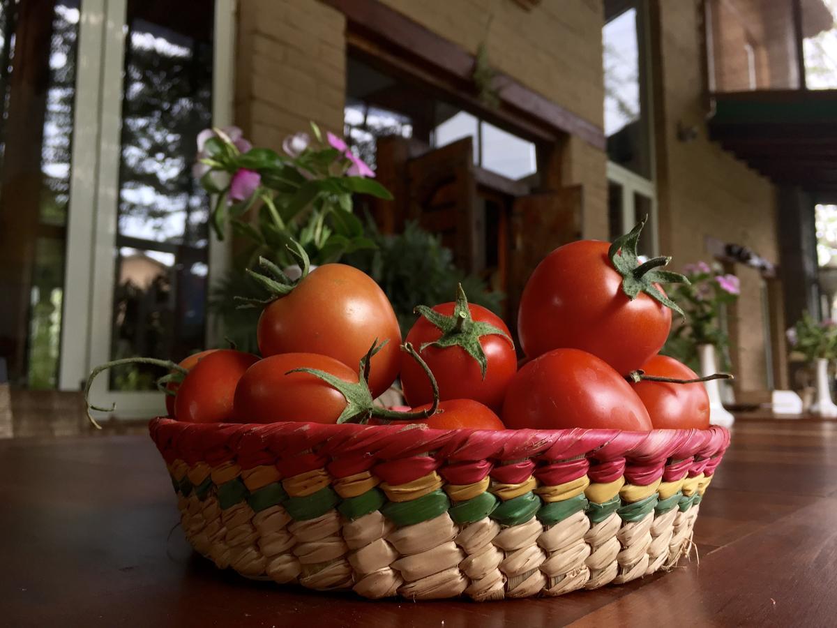 Quinta Cielo - Hotel Boutique Y Restaurante 马利纳尔科 外观 照片
